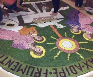 Foto_Infiorata_2014_34