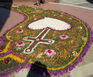 Foto_Infiorata_2014_39