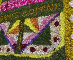 Foto_Infiorata_2014_61